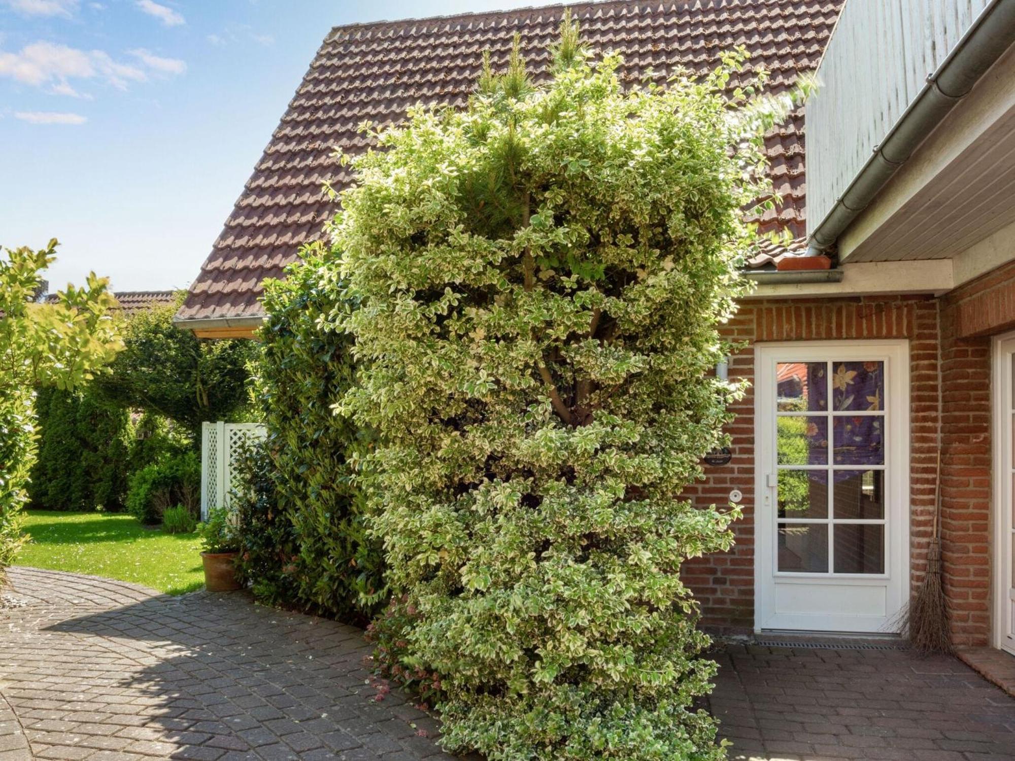 Enticing Holiday Home In Oldenburg With Garden Near Sea Dannau Exteriér fotografie